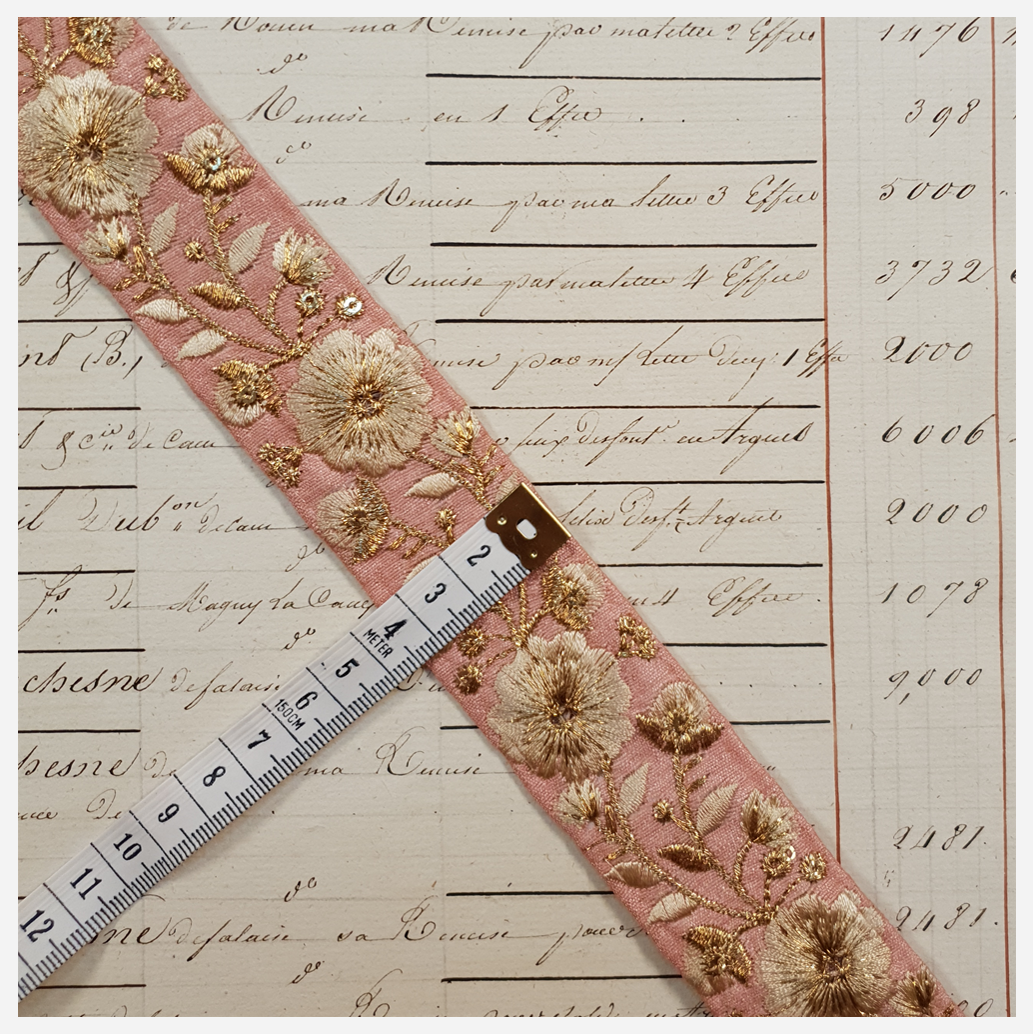 Embroidered Trim - 1 Meter  - (ITR-1024)