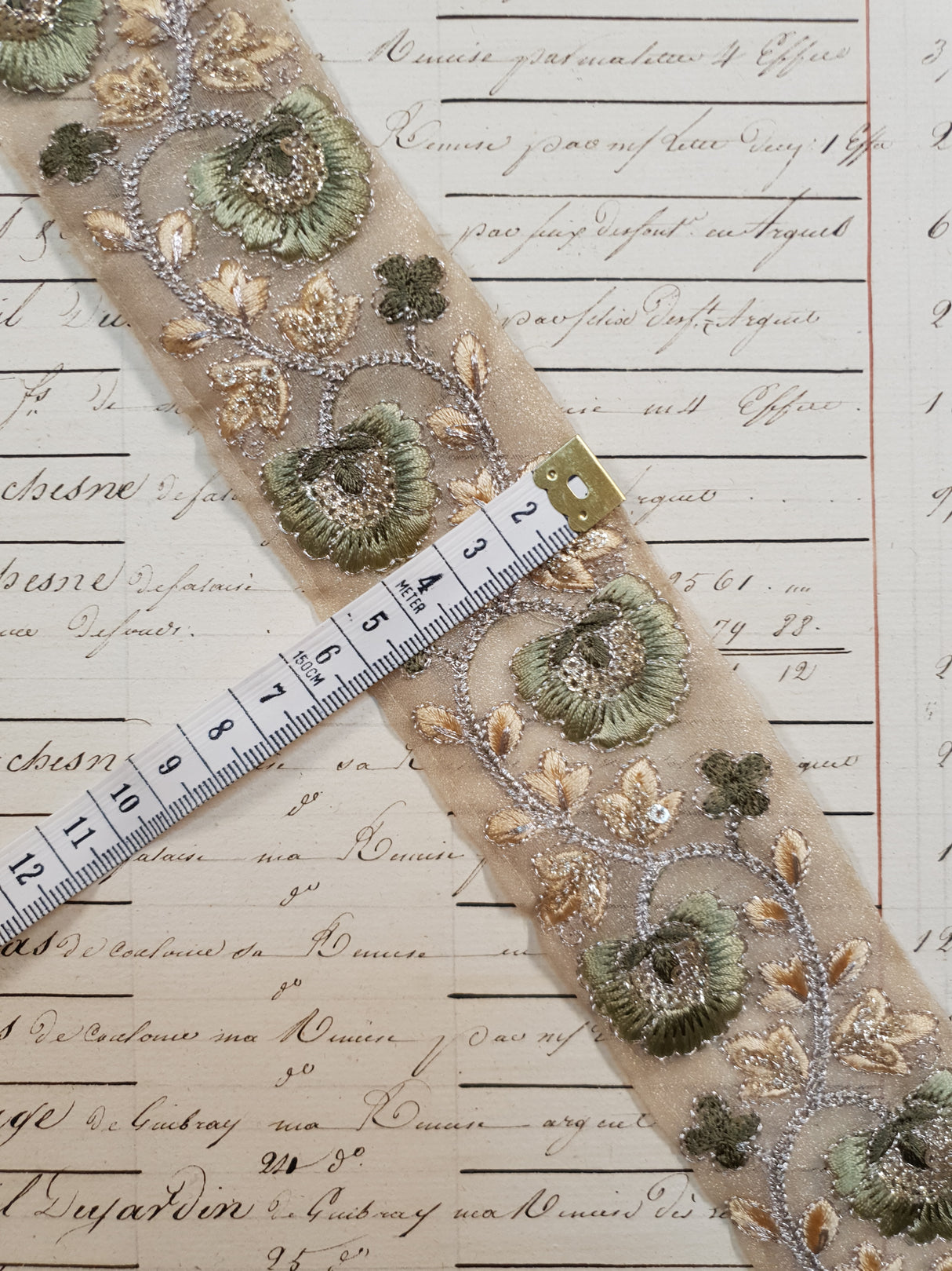 Embroidered Trim - 1 Meter - (ITR-1044)