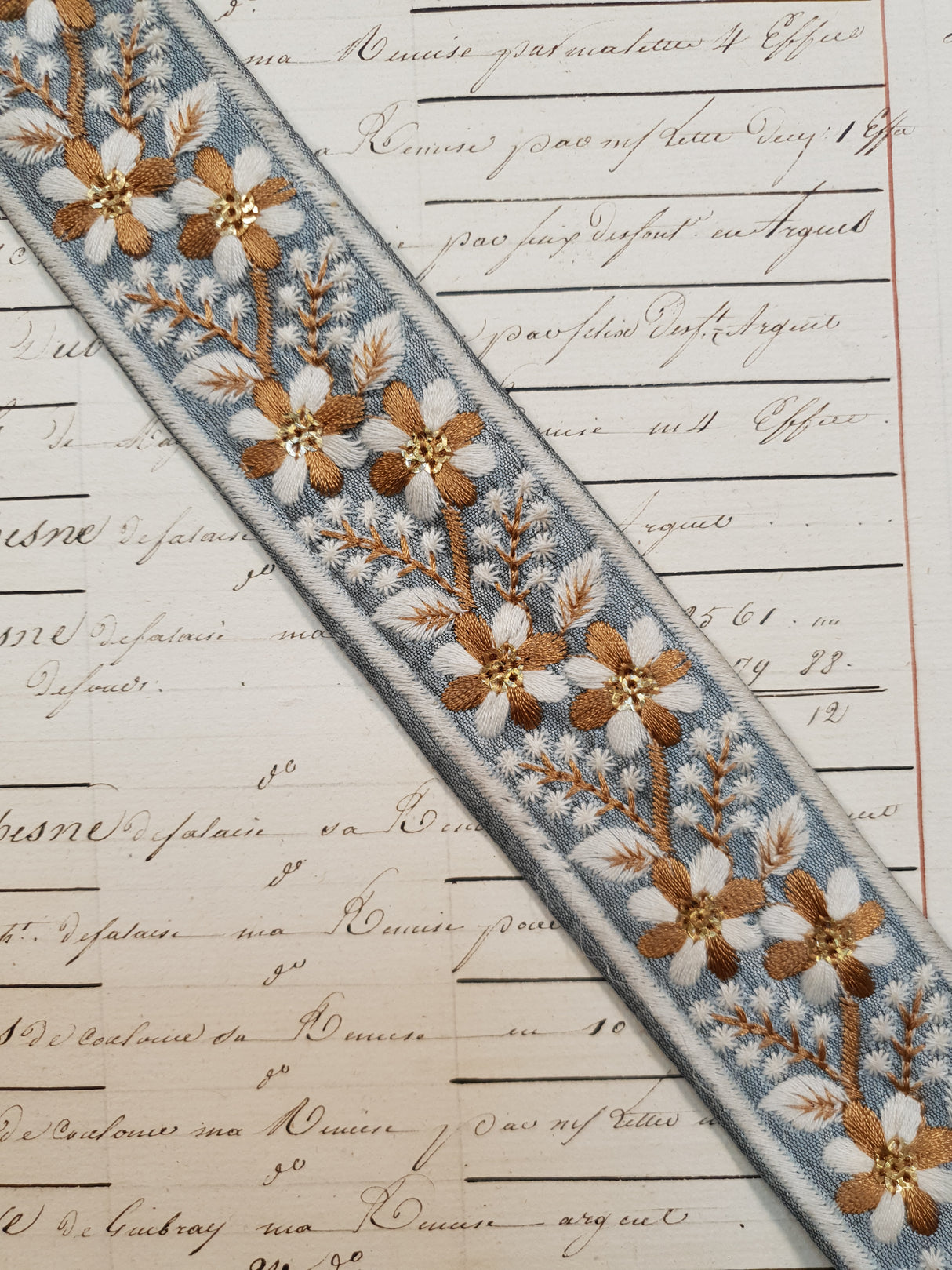 Embroidered Trim - 1 Meter - (ITR-1051)