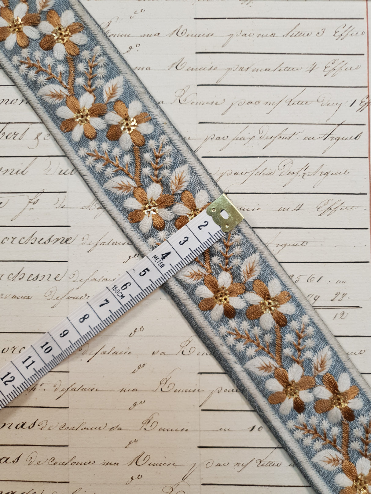 Embroidered Trim - 1 Meter - (ITR-1051)