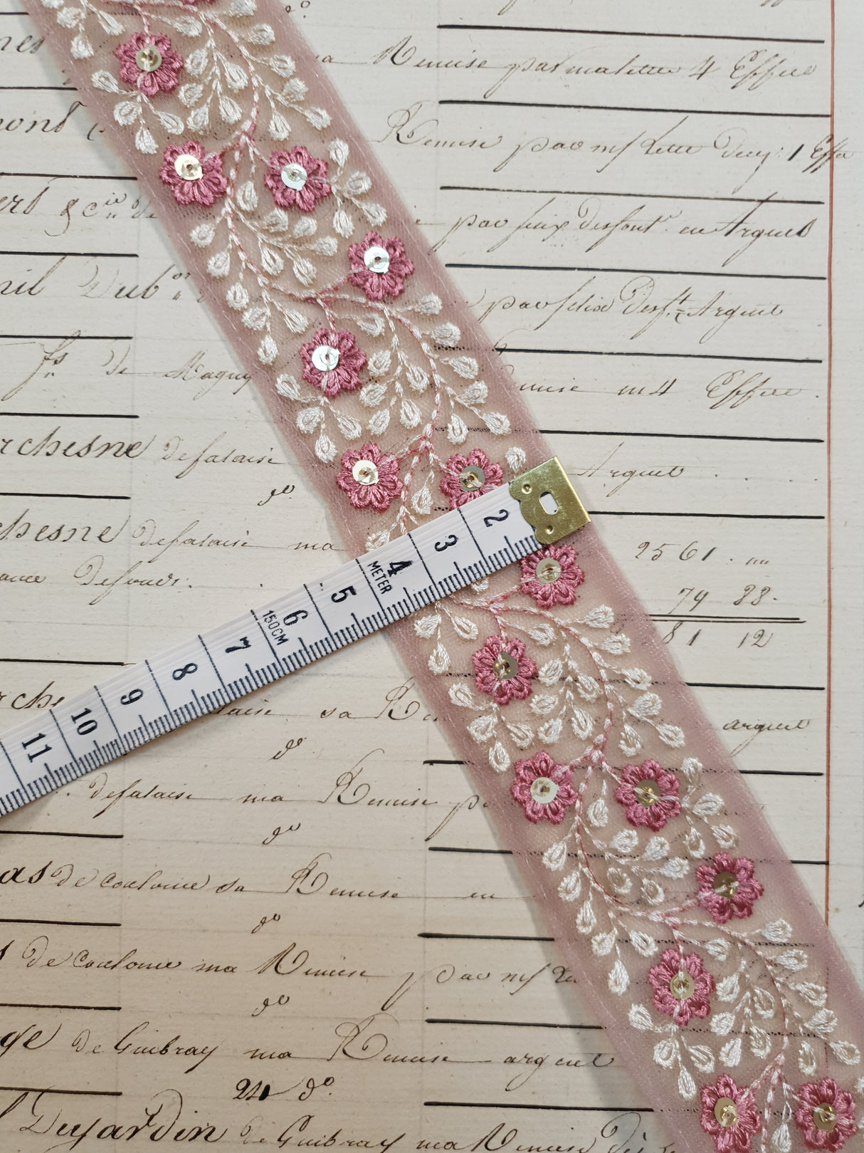 Embroidered Trim - 1 Meter  - (ITR-1053)