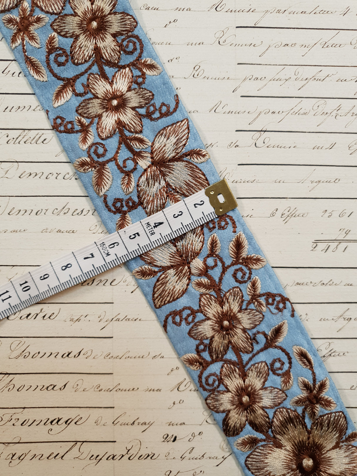 Embroidered Trim - 1 Meter - (ITR-1063)