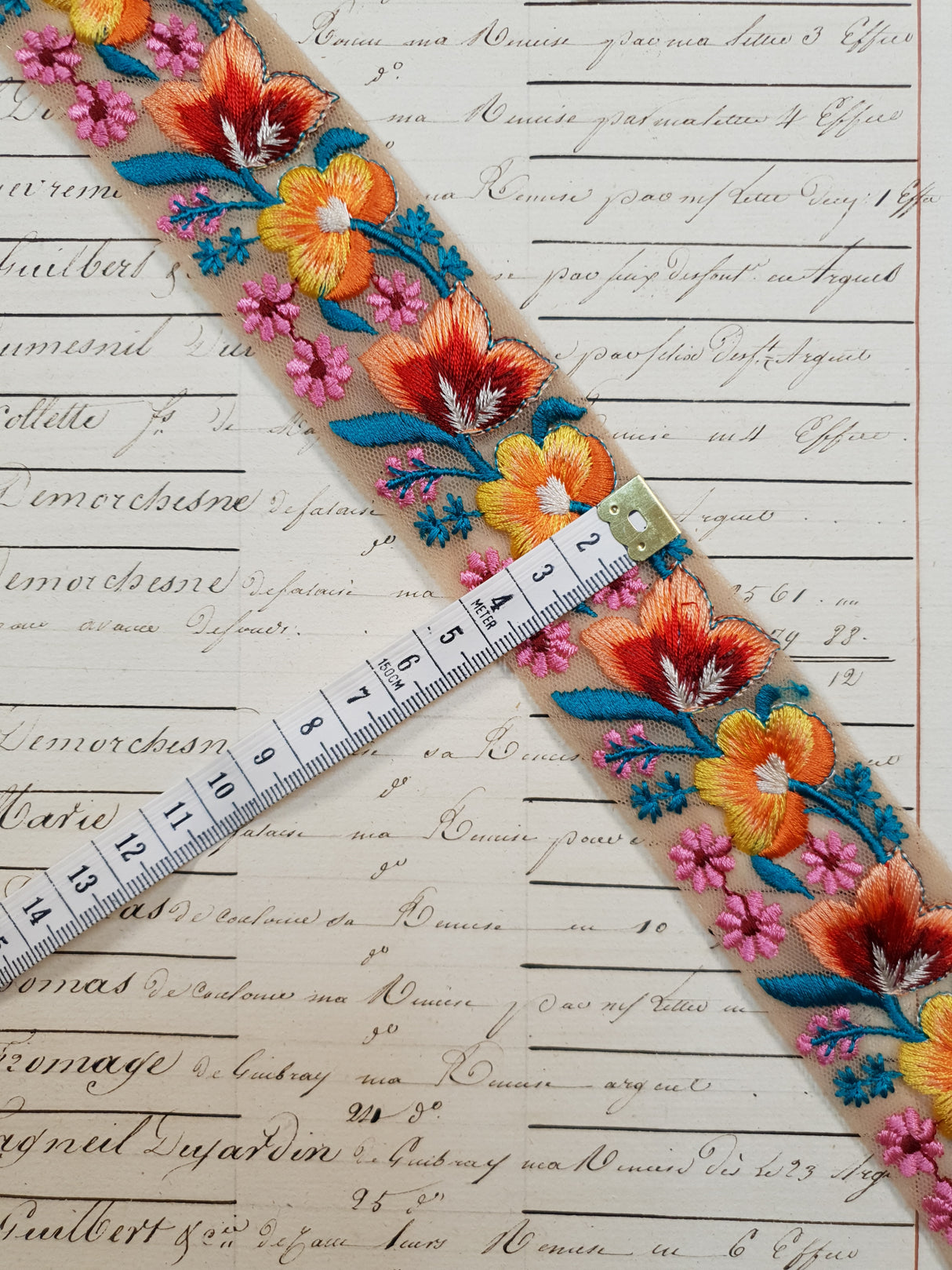 Embroidered Trim - 1 Meter - (ITR-1072)