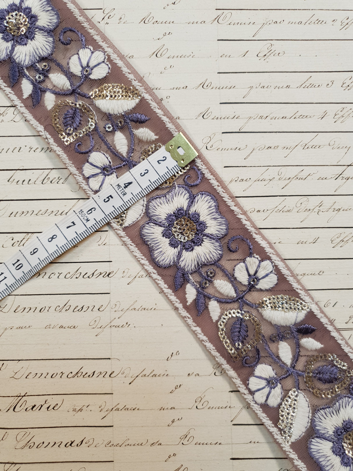 Embroidered Trim - 1 Meter - (ITR-1080)