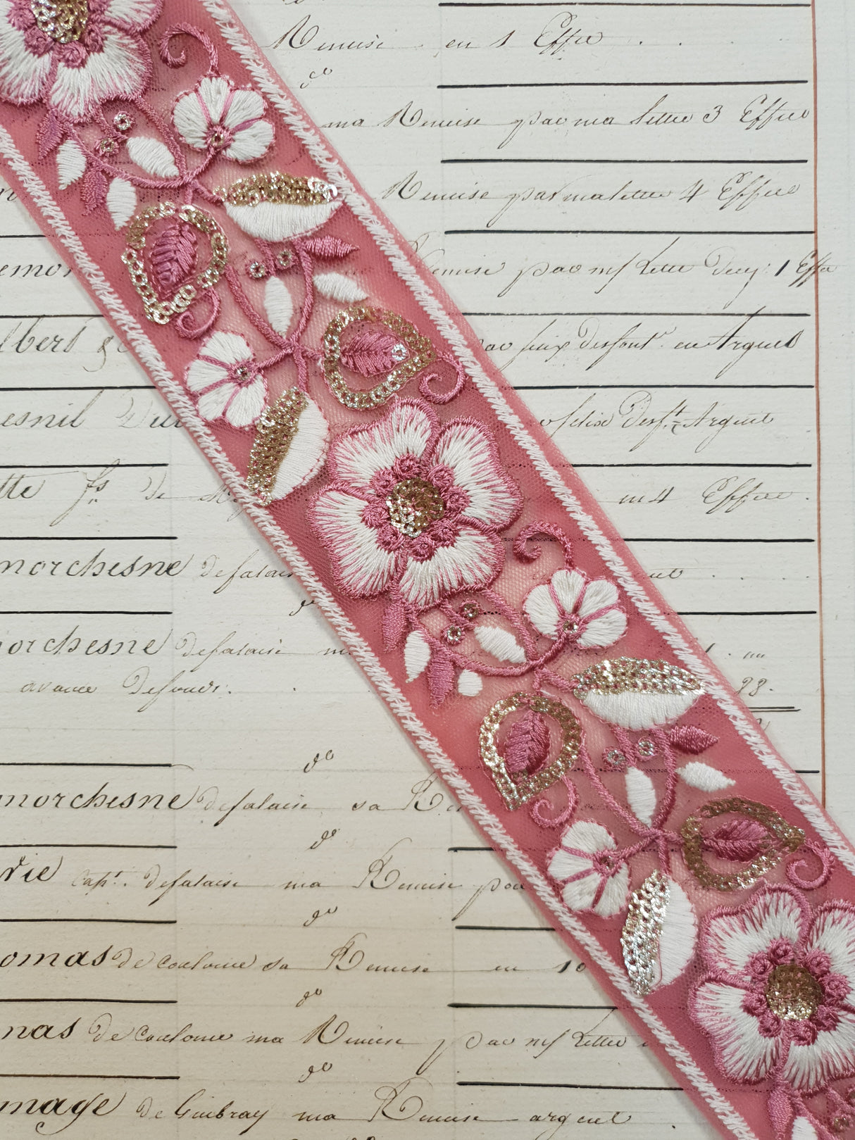 Embroidered Trim - 1 Meter - (ITR-1081)