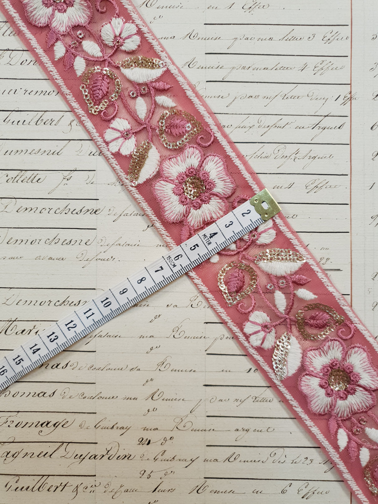 Embroidered Trim - 1 Meter - (ITR-1081)