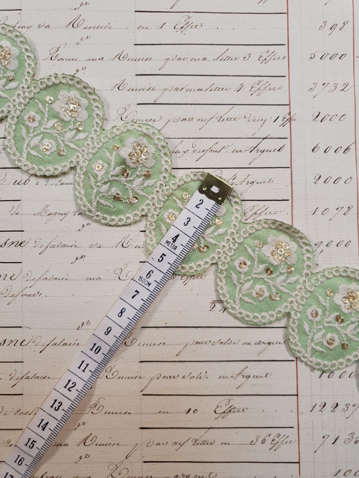Embroidered Trim - 1 Meter  - (ITR-1090)