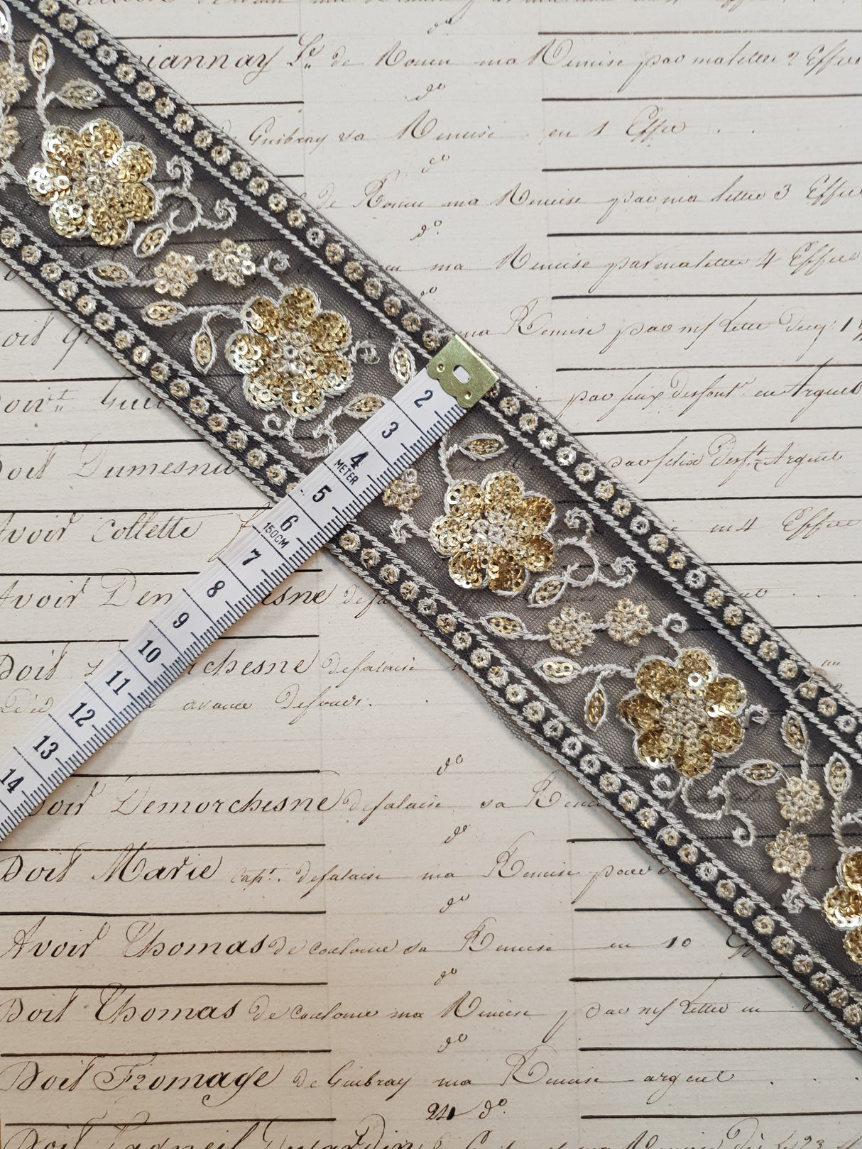 Embroidered Trim - 1 Meter - (ITR-1101)