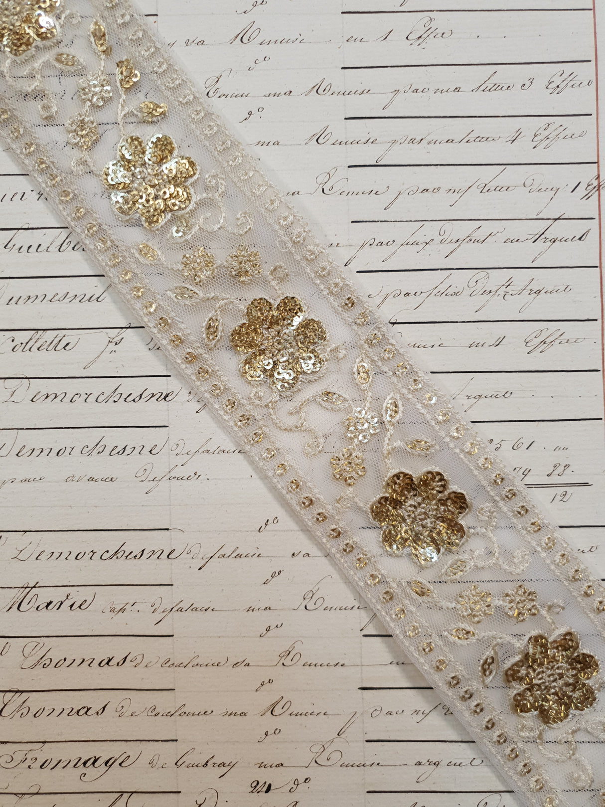 Embroidered Trim - 1 Meter  - (ITR-1102)