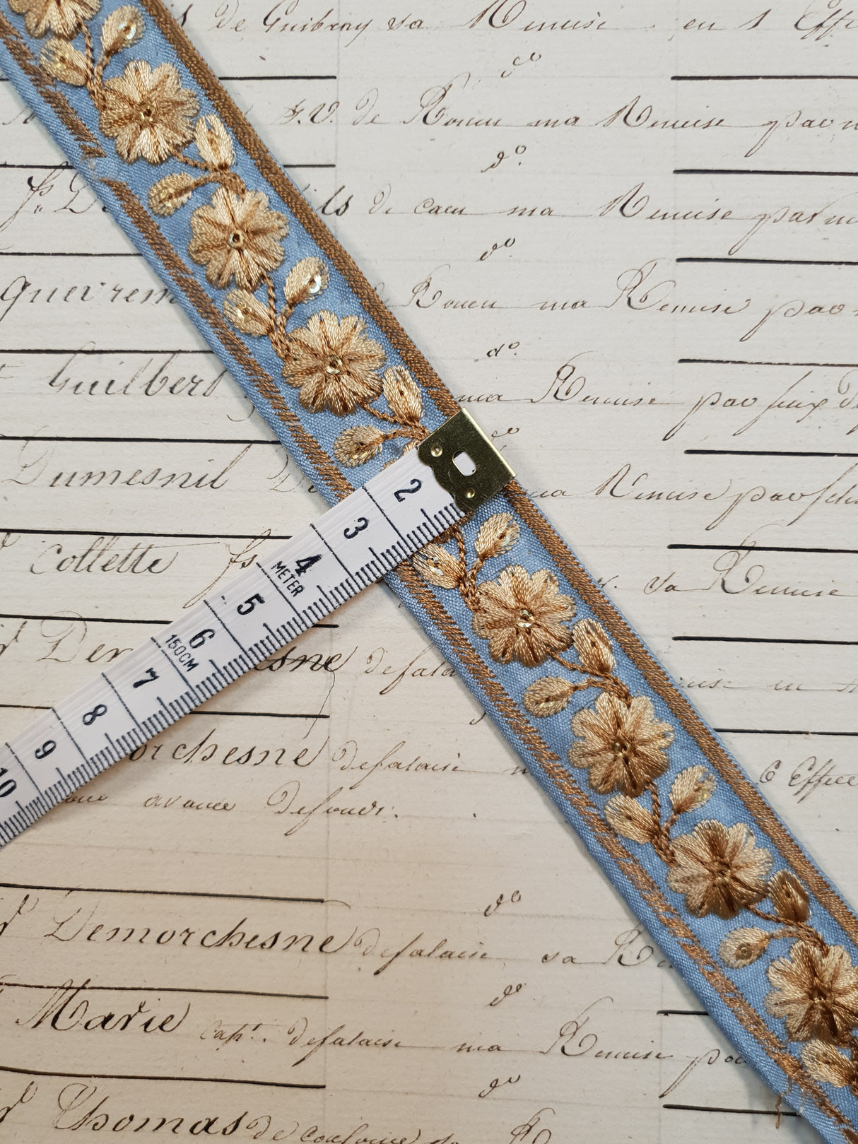 Embroidered Trim - 1 Meter - (ITR-1114)