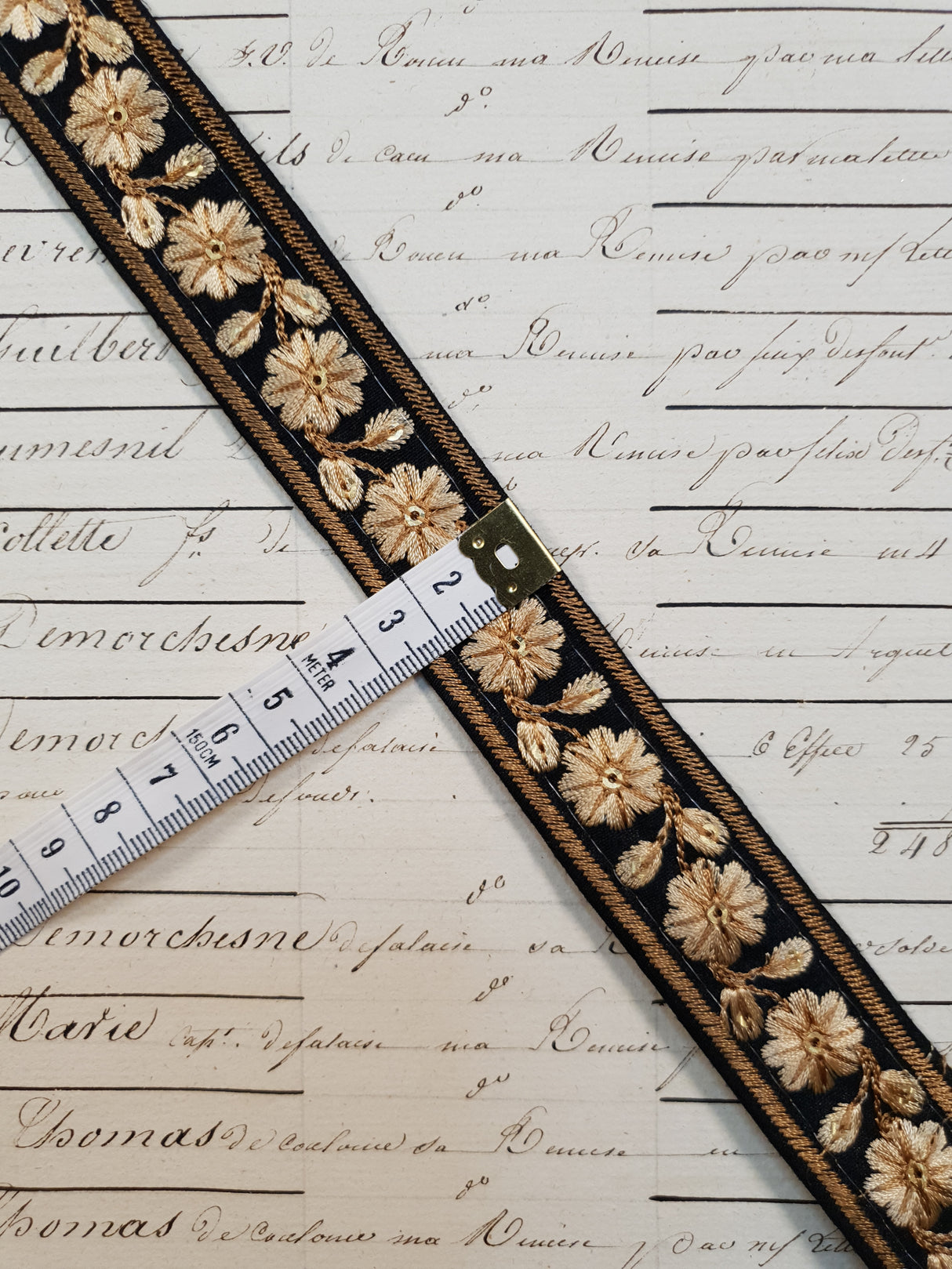 Embroidered Trim - 1 Meter - (ITR-1116)