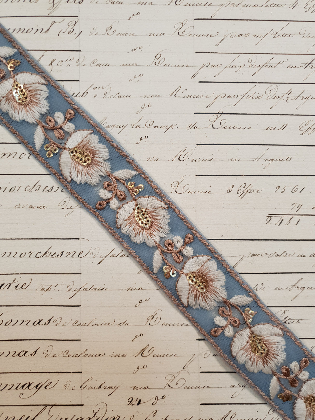 Embroidered Trim - 1 Meter - (ITR-1123)