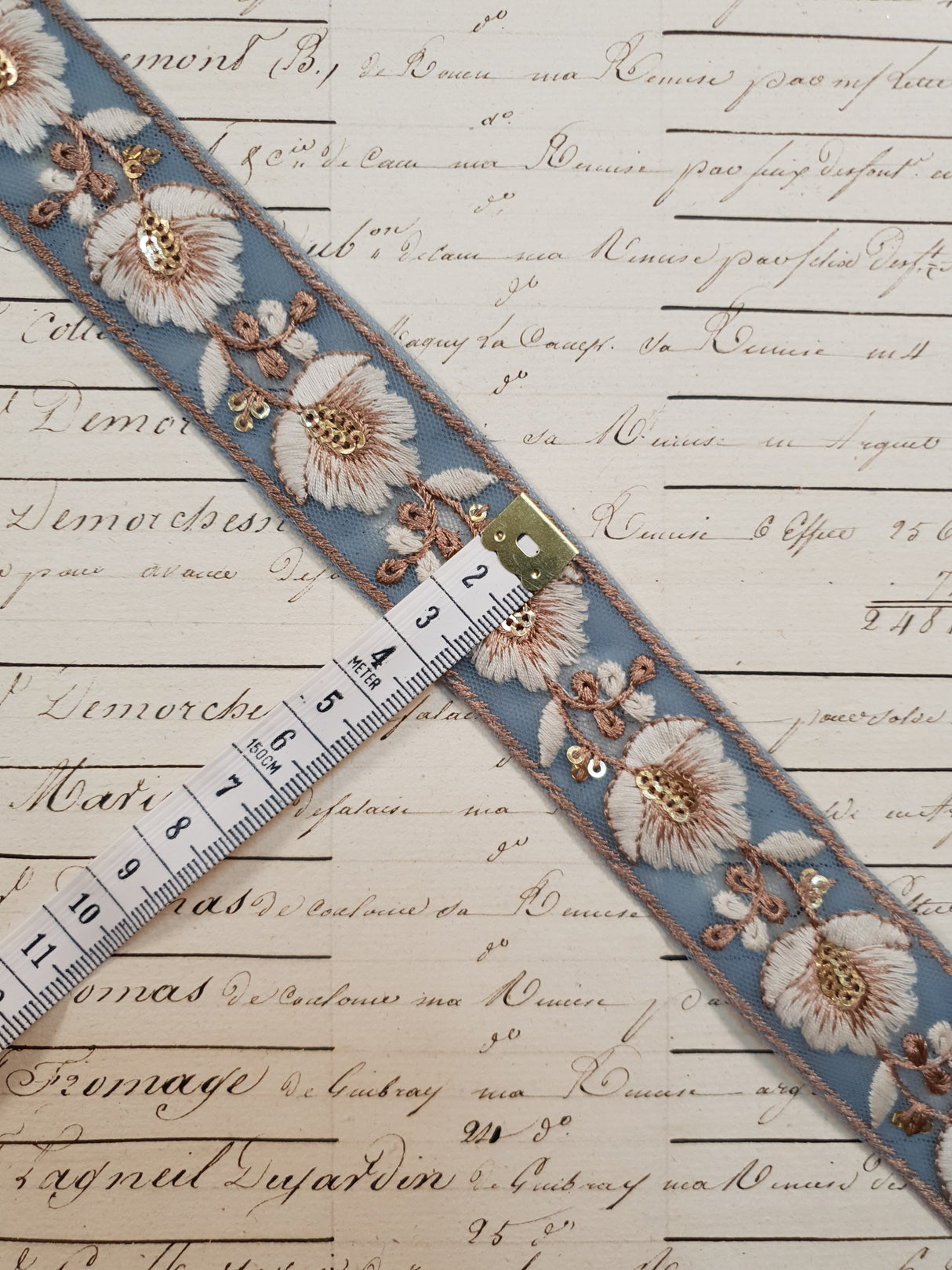 Embroidered Trim - 1 Meter - (ITR-1123)