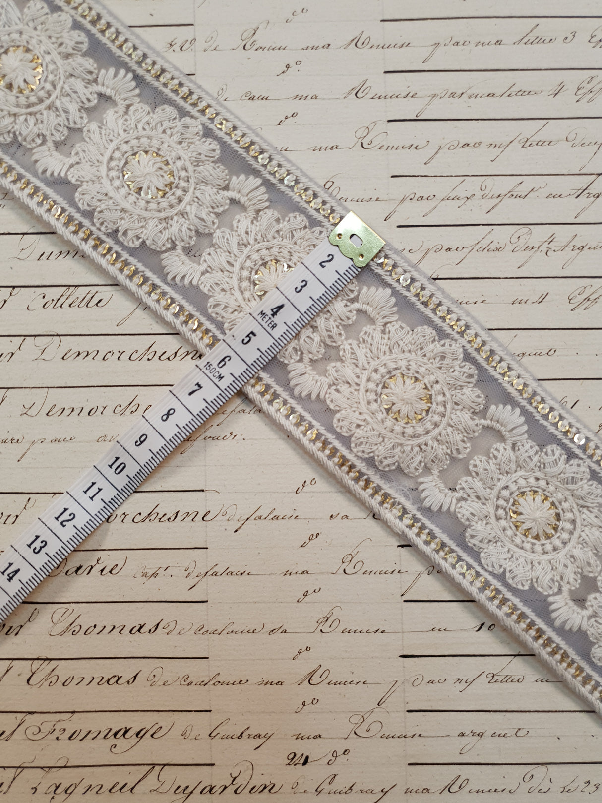 Embroidered Trim - 1 Meter - (ITR-1133)