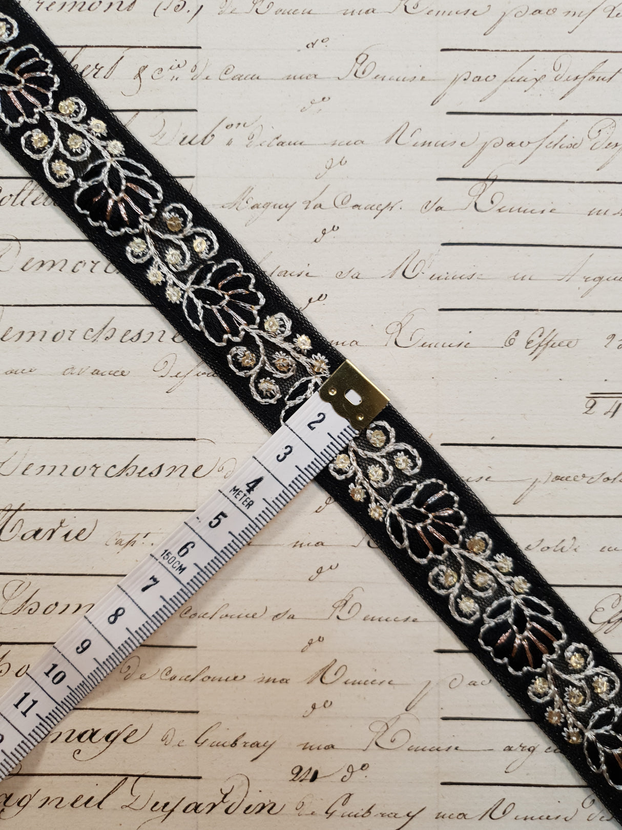 Embroidered Trim - 1 Meter - (ITR-1139)