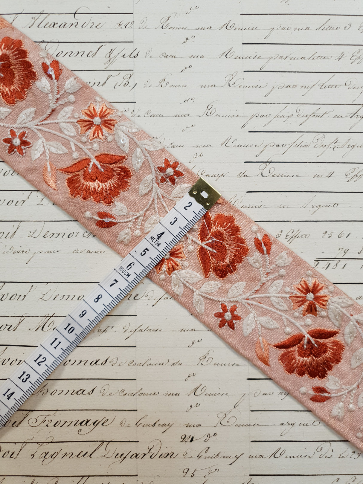 Embroidered Trim - 1 Meter - (ITR-1143)