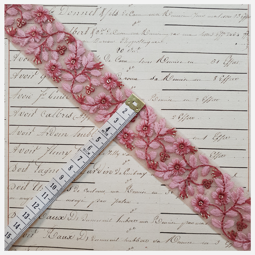 Embroidered Trim - 1 Meter - (ITR-1175)