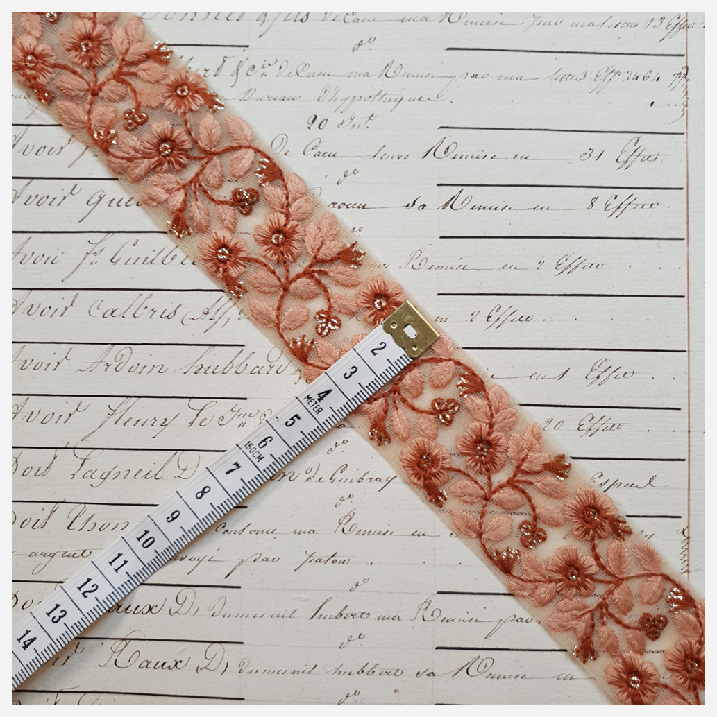 Embroidered Trim - 1 Meter - (ITR-1176)