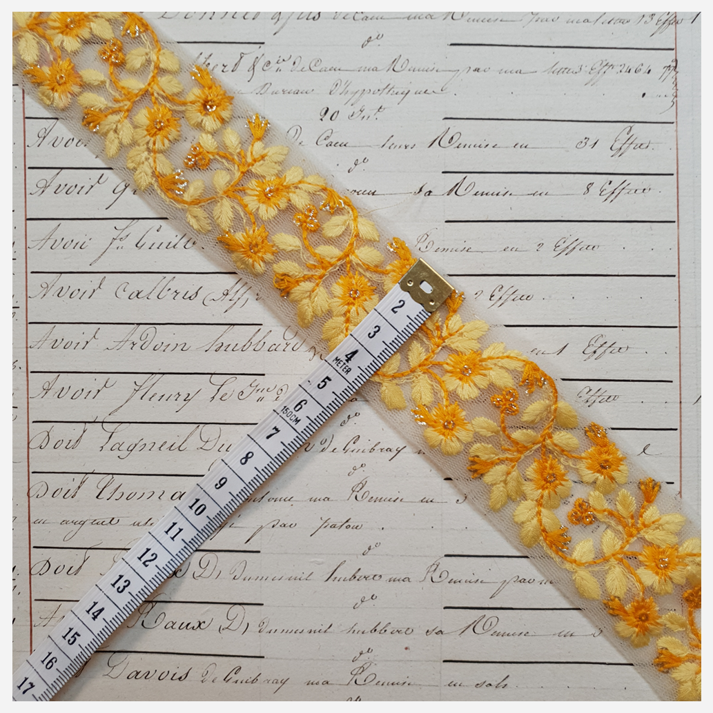 Embroidered Trim - 1 Meter - (ITR-1179)