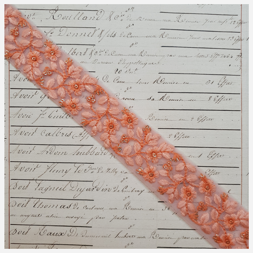 Embroidered Trim - 1 Meter - (ITR-1180)