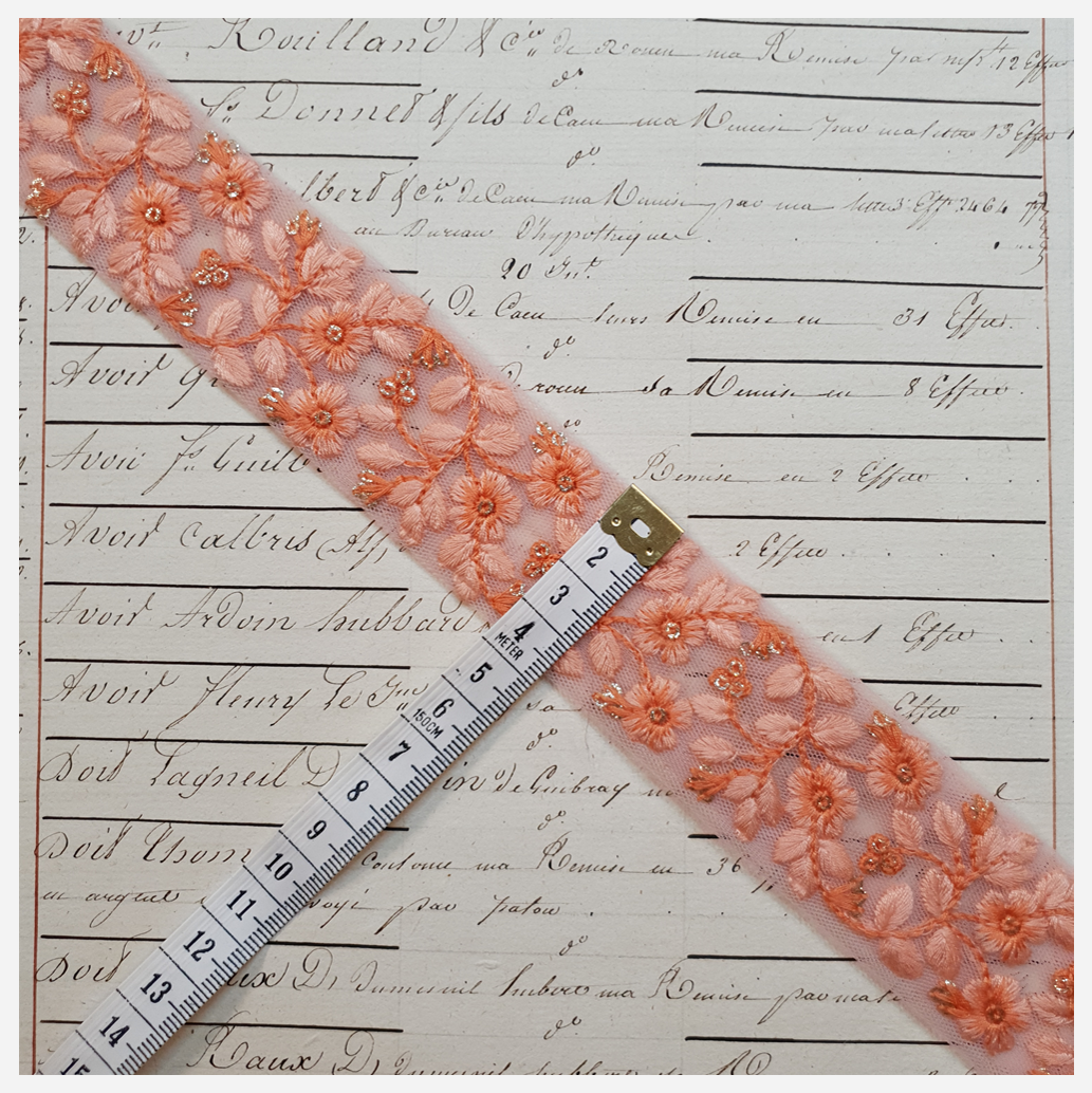 Embroidered Trim - 1 Meter - (ITR-1180)