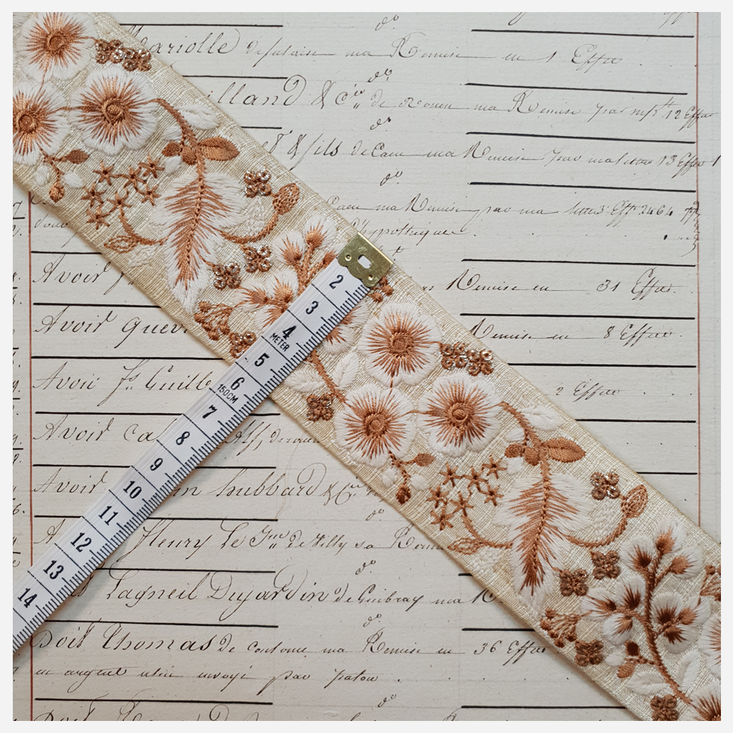 Embroidered Trim - 1 Meter - (ITR-1184)