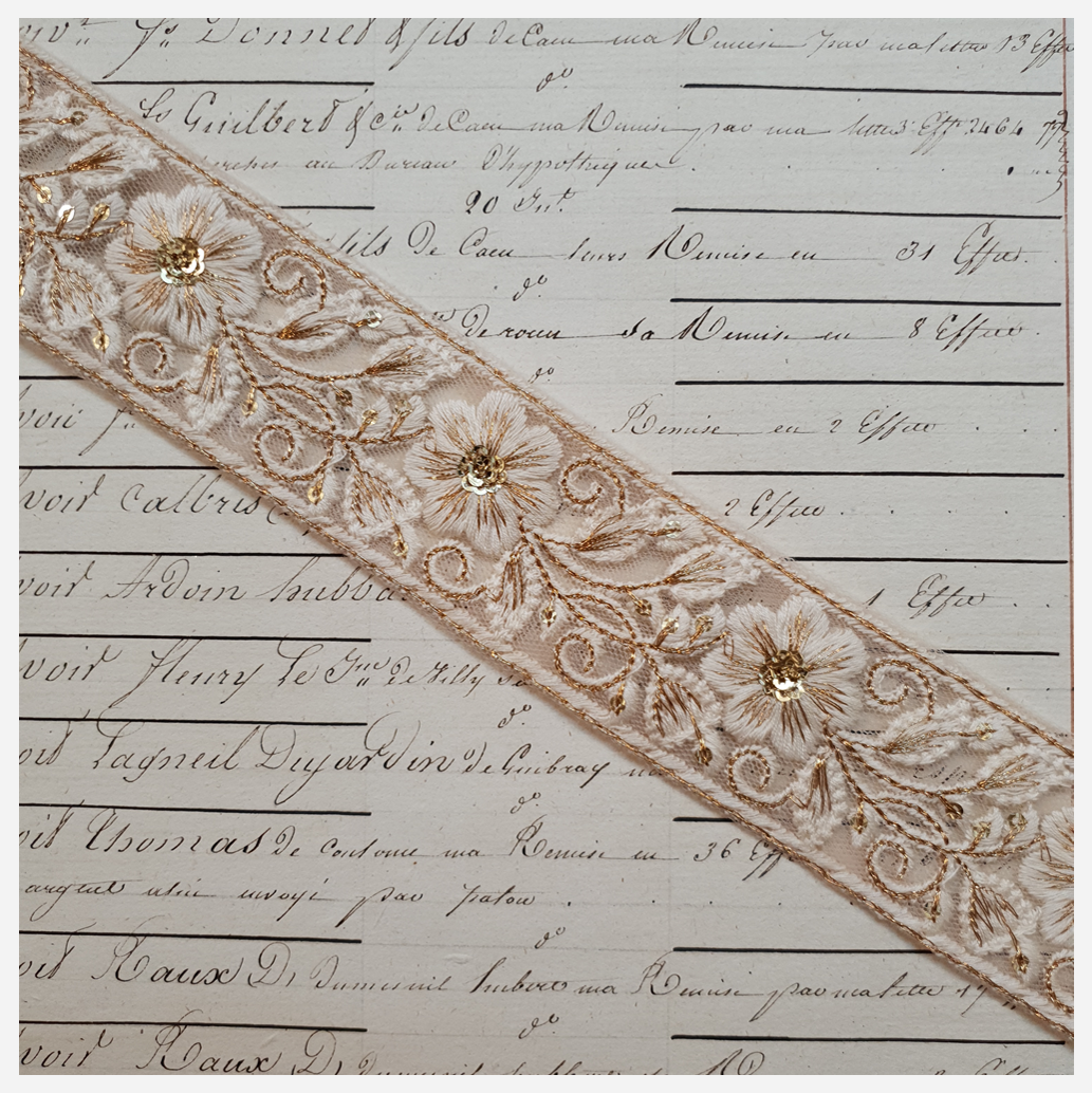 Embroidered Trim - 1 Meter - (ITR-1191)