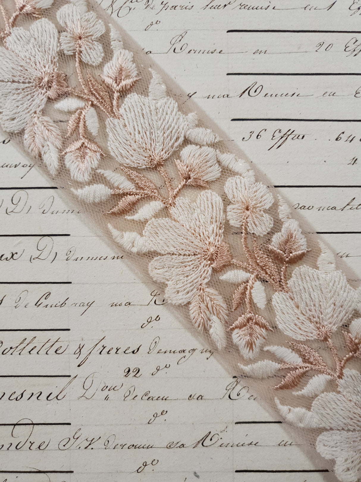 Embroidered Trim - 1 Meter - (ITR-1199)