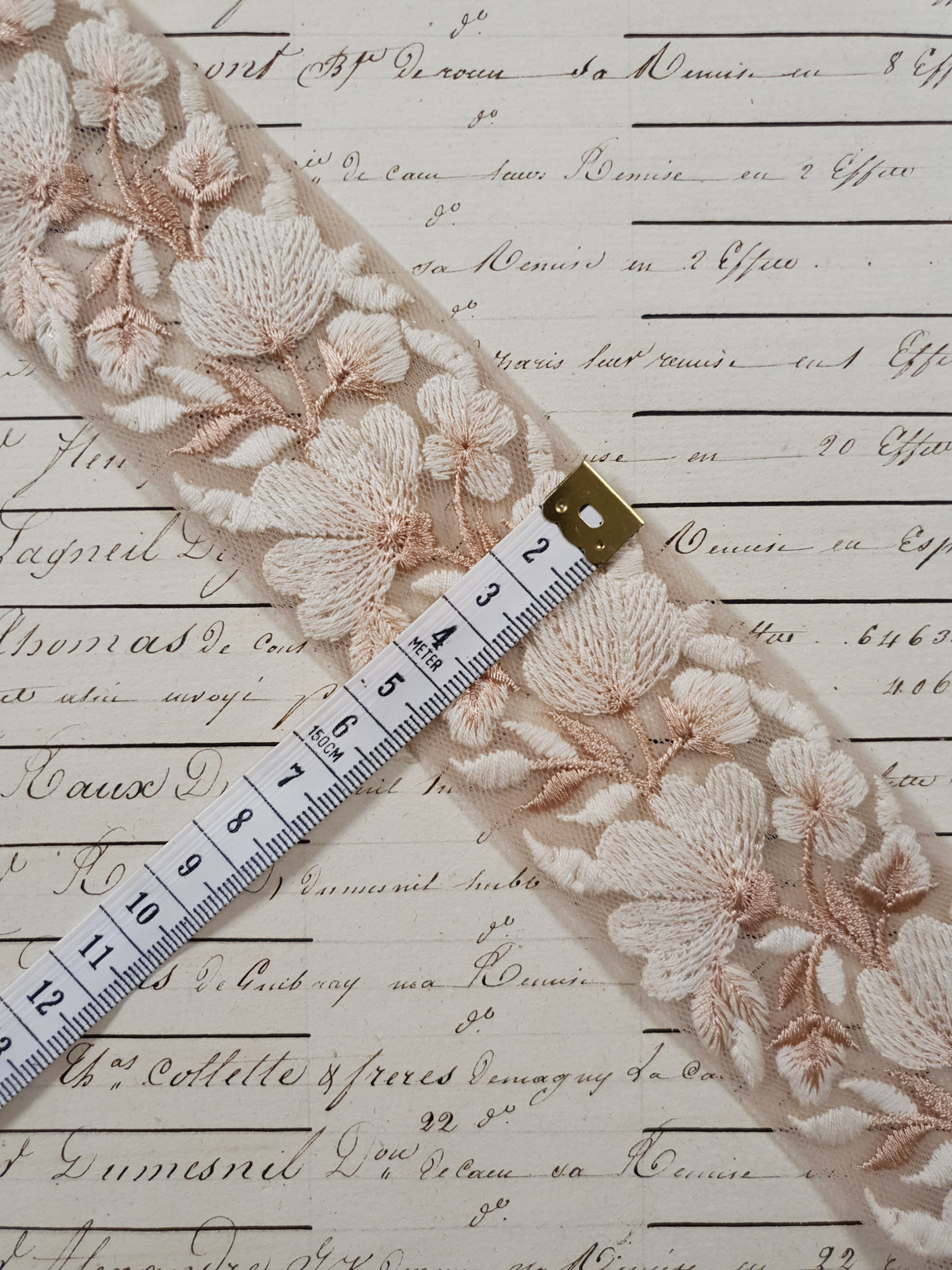 Embroidered Trim - 1 Meter - (ITR-1199)