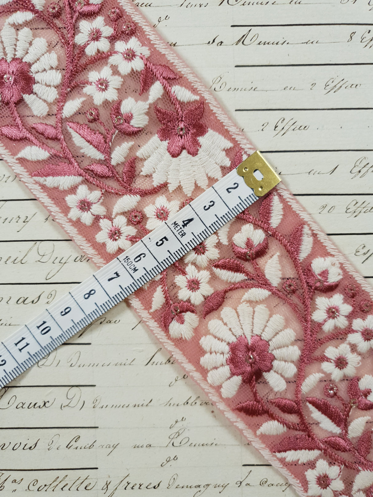 Embroidered Trim - 1 Meter - (ITR-1207)