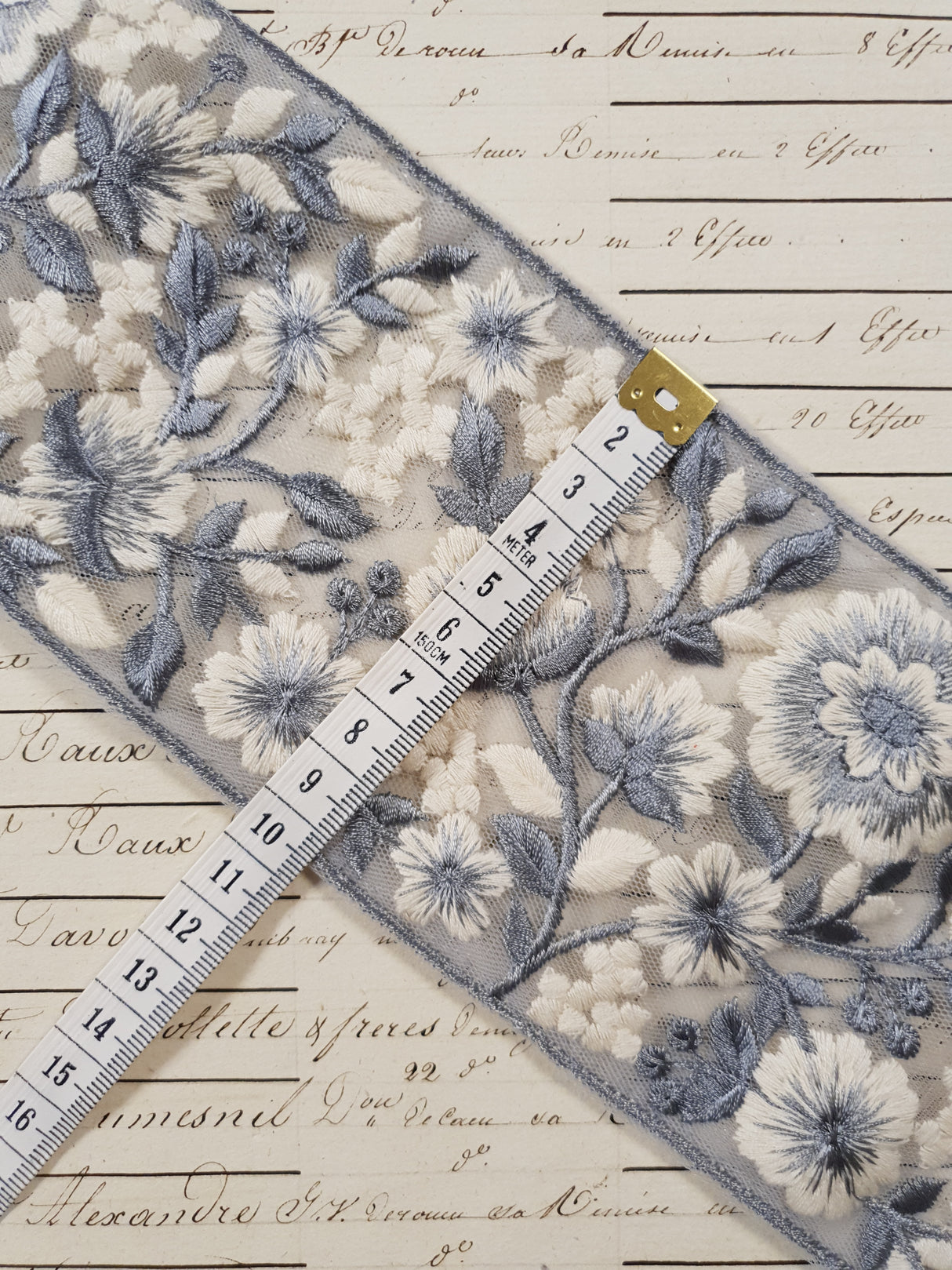 Embroidered Trim - 1 Meter - (ITR-1210)