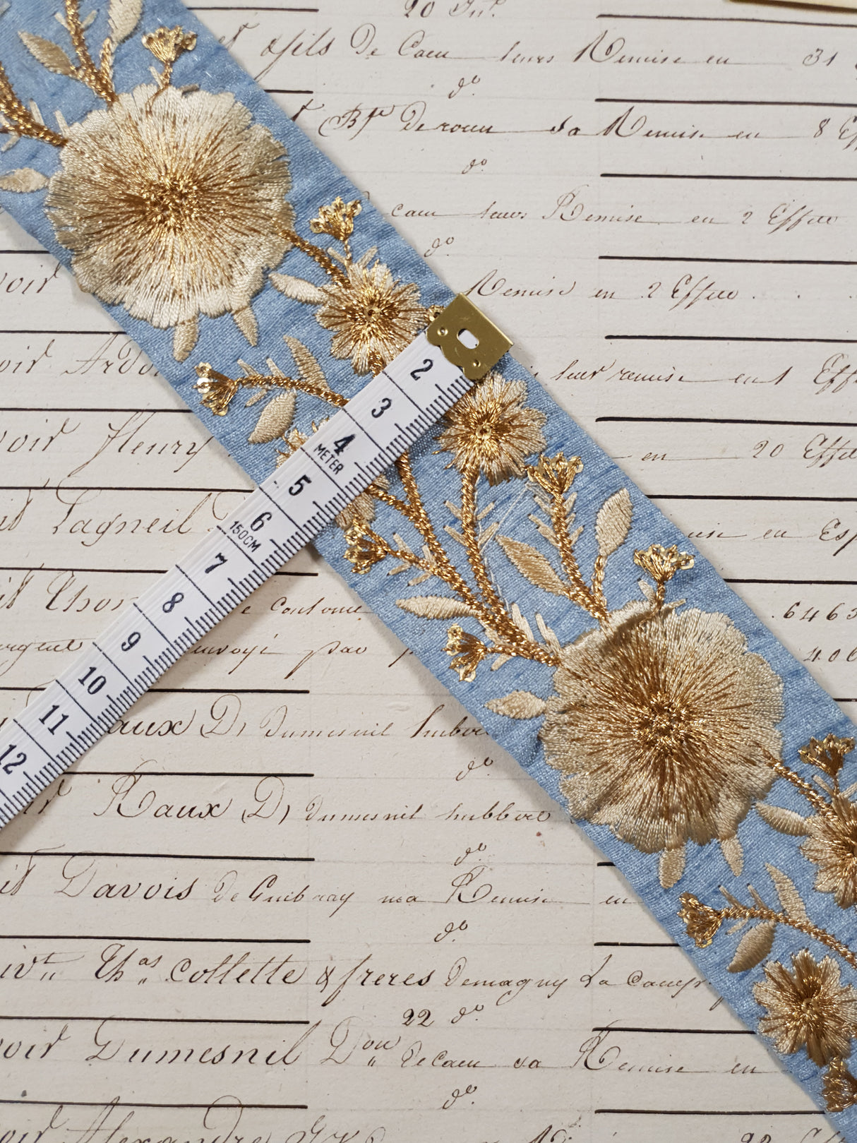 Embroidered Trim - 1 Meter - (ITR-1213)