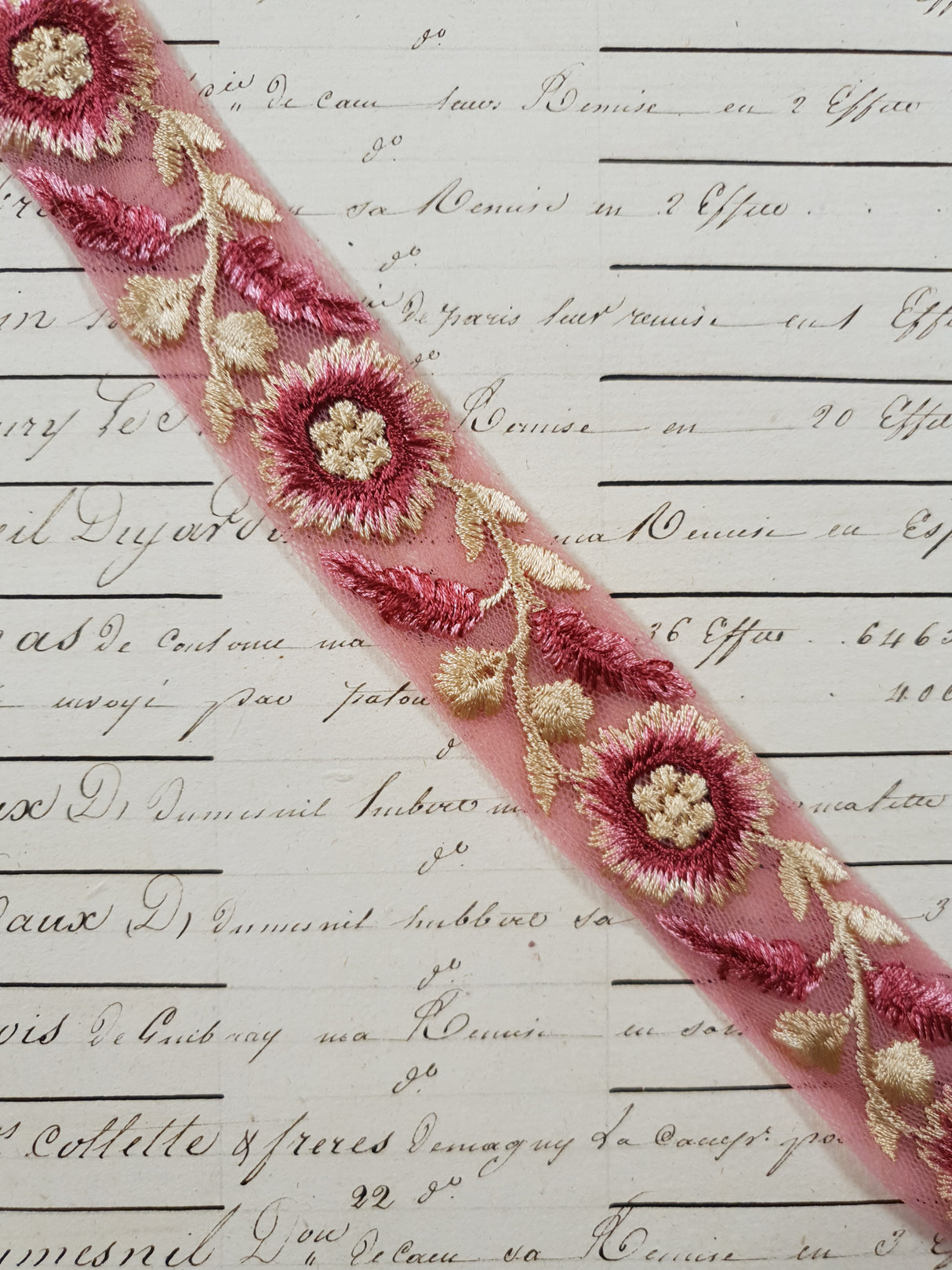 Embroidered Trim - 1 Meter - (ITR-1215)