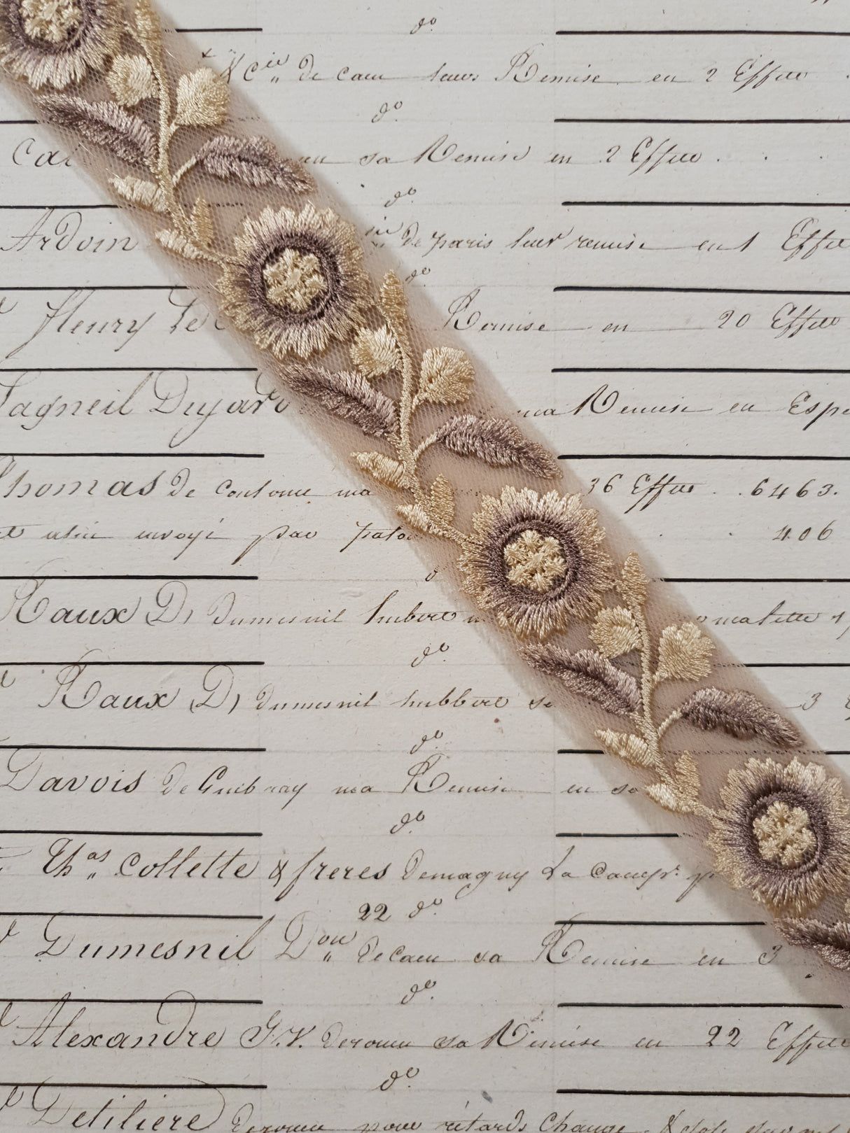 Embroidered Trim - 1 Meter - (ITR-1216)