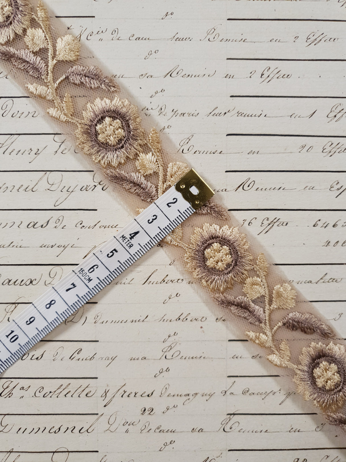 Embroidered Trim - 1 Meter - (ITR-1216)