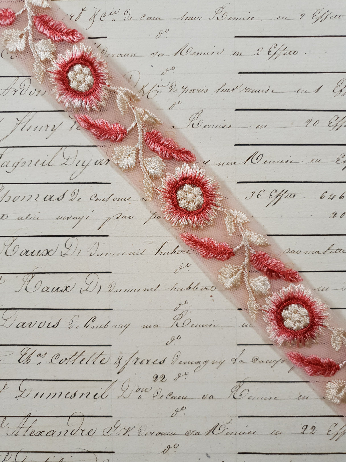 Embroidered Trim - 1 Meter - (ITR-1217)