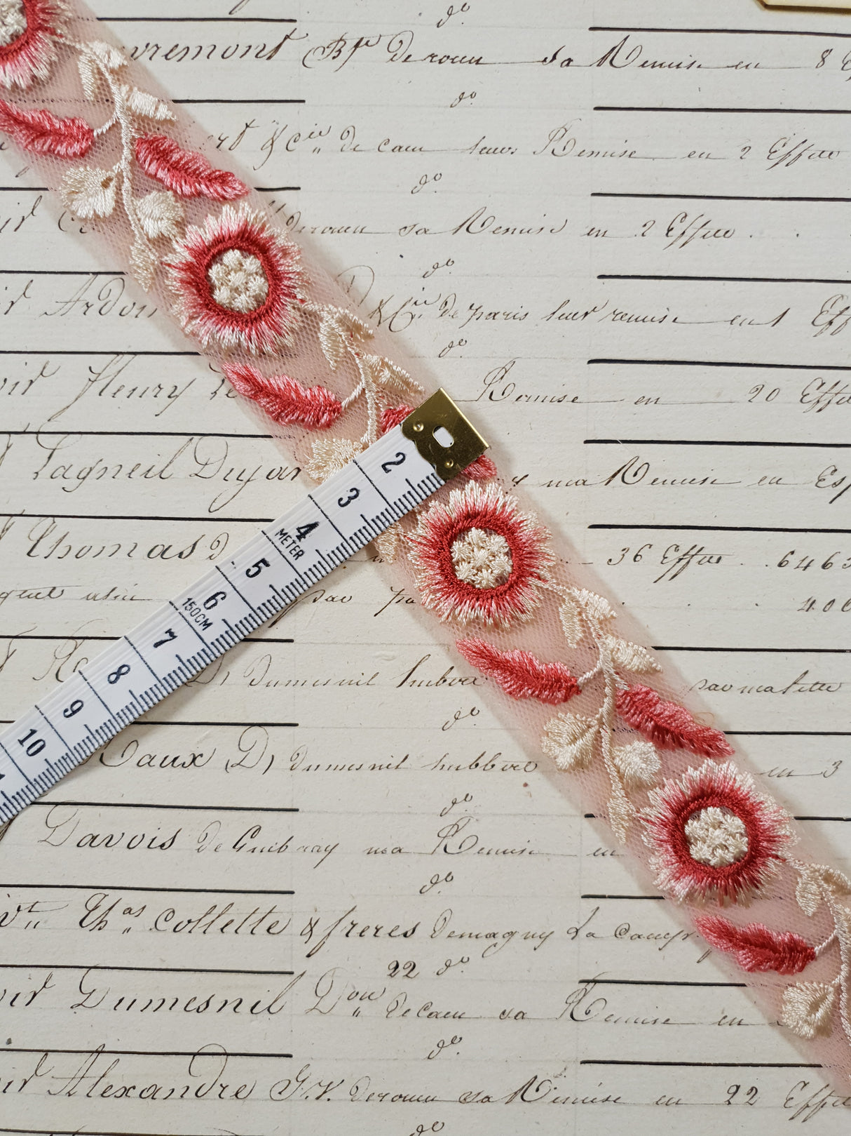 Embroidered Trim - 1 Meter - (ITR-1217)