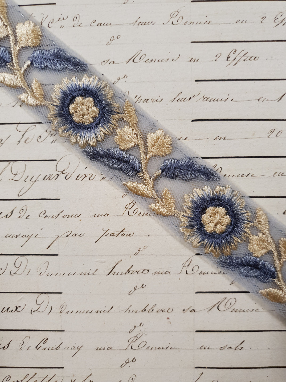 Embroidered Trim - 1 Meter - (ITR-1219)