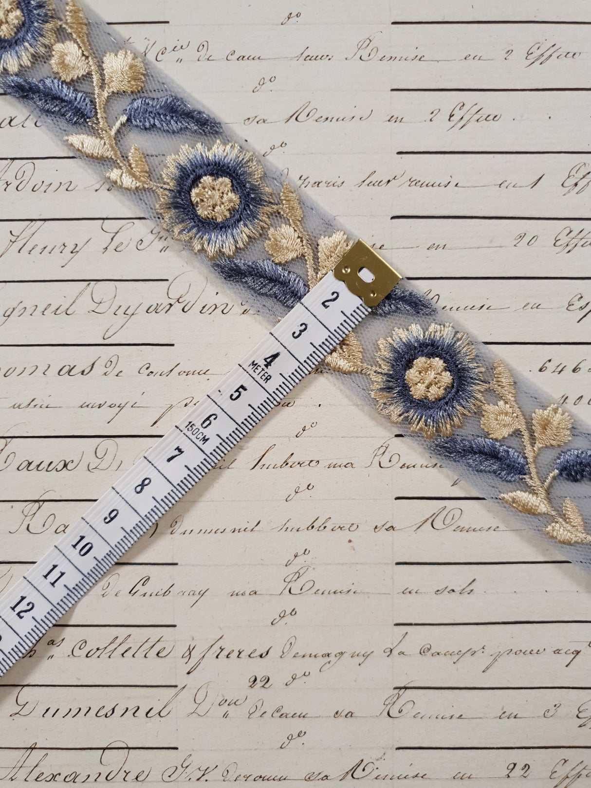 Embroidered Trim - 1 Meter - (ITR-1219)