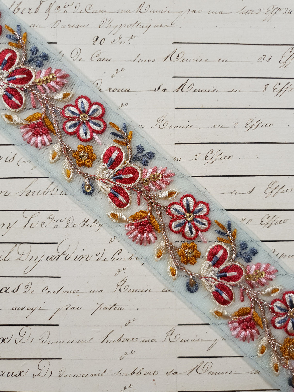 Embroidered Trim - 1 Meter - (ITR-1224)