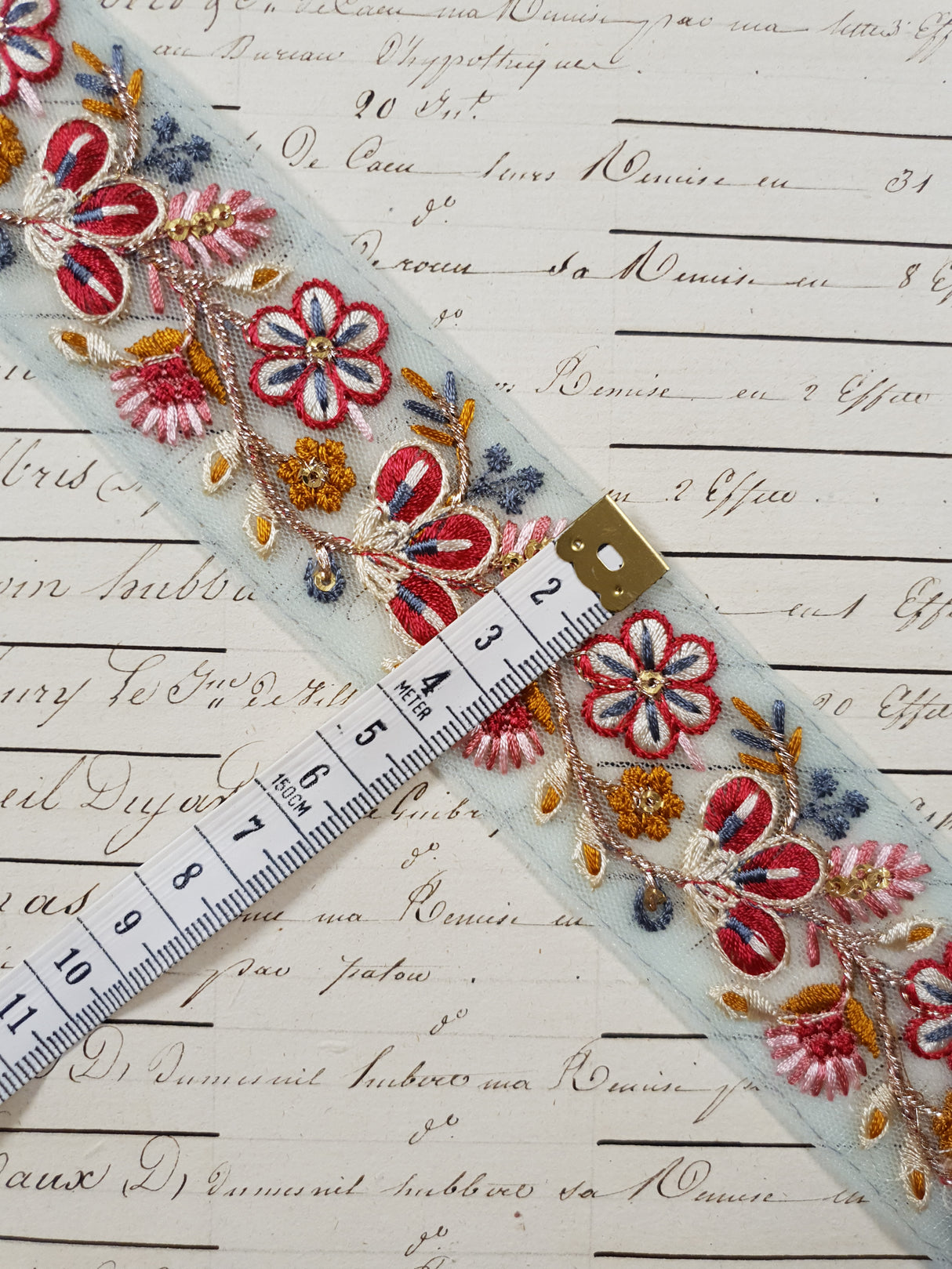 Embroidered Trim - 1 Meter - (ITR-1224)