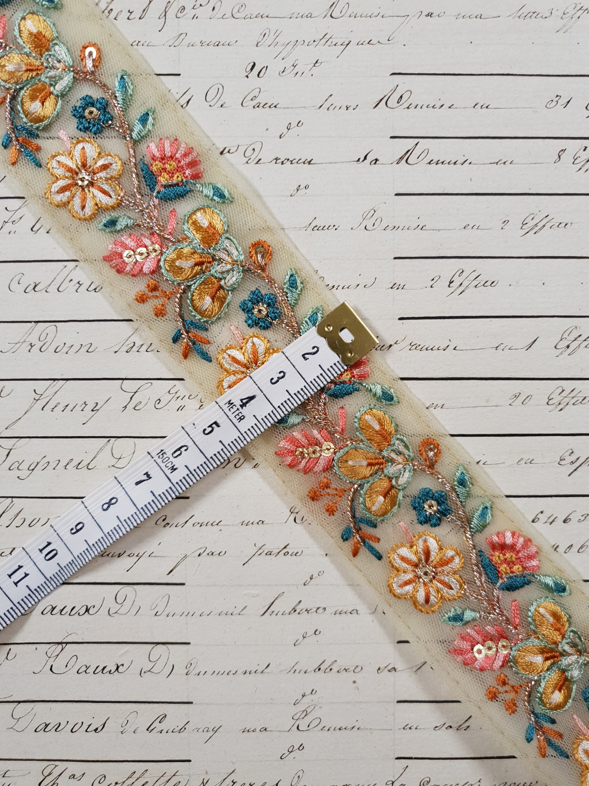 Embroidered Trim - 1 Meter  - (ITR-1225)