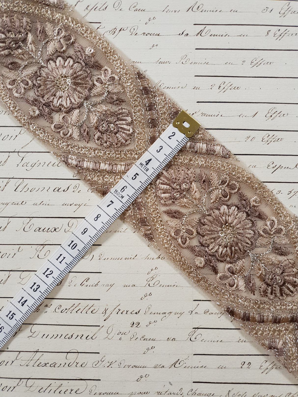 Embroidered Trim - 1 Meter - (ITR-1229)