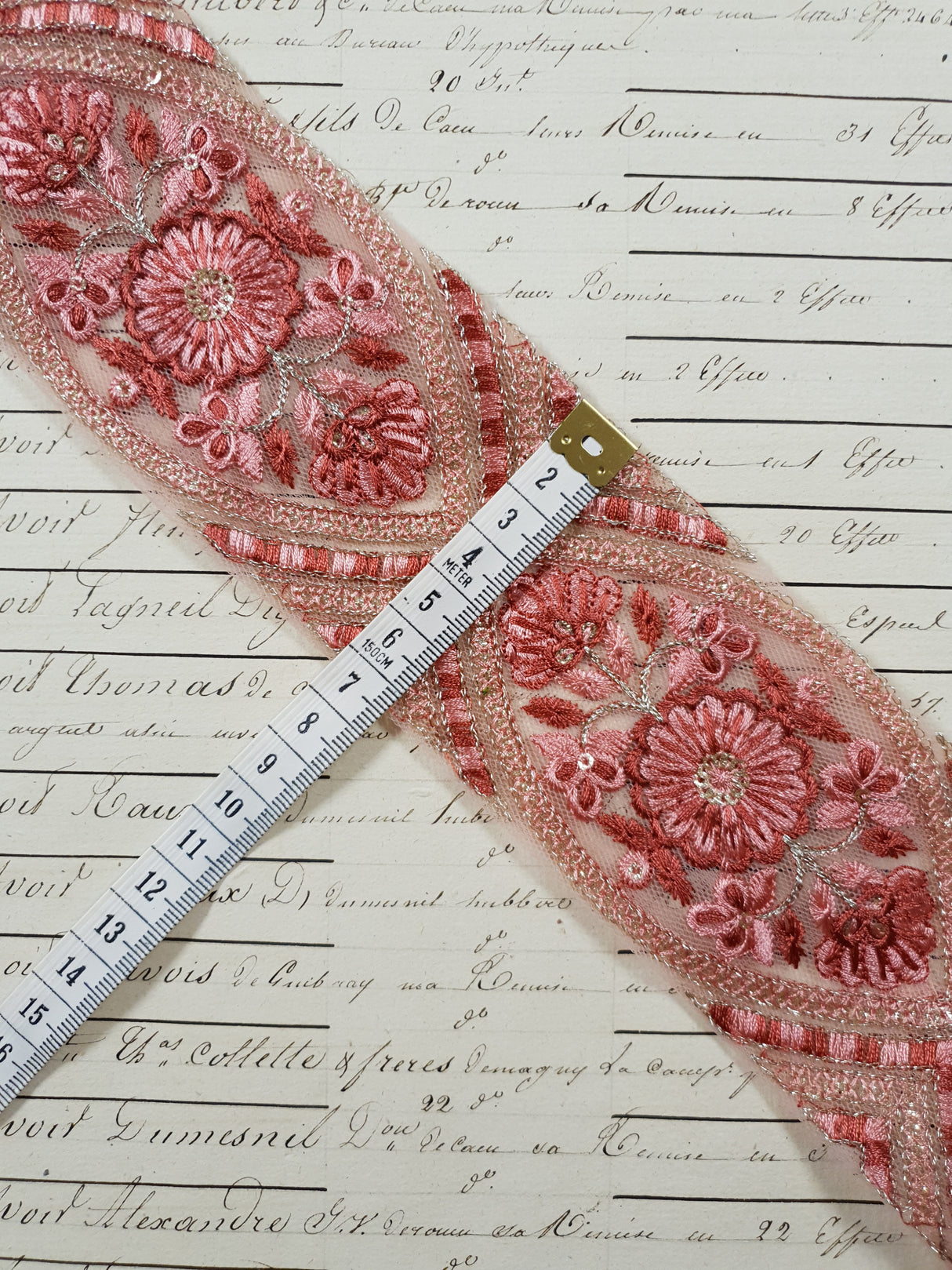 Embroidered Trim - 1 Meter - (ITR-1230)