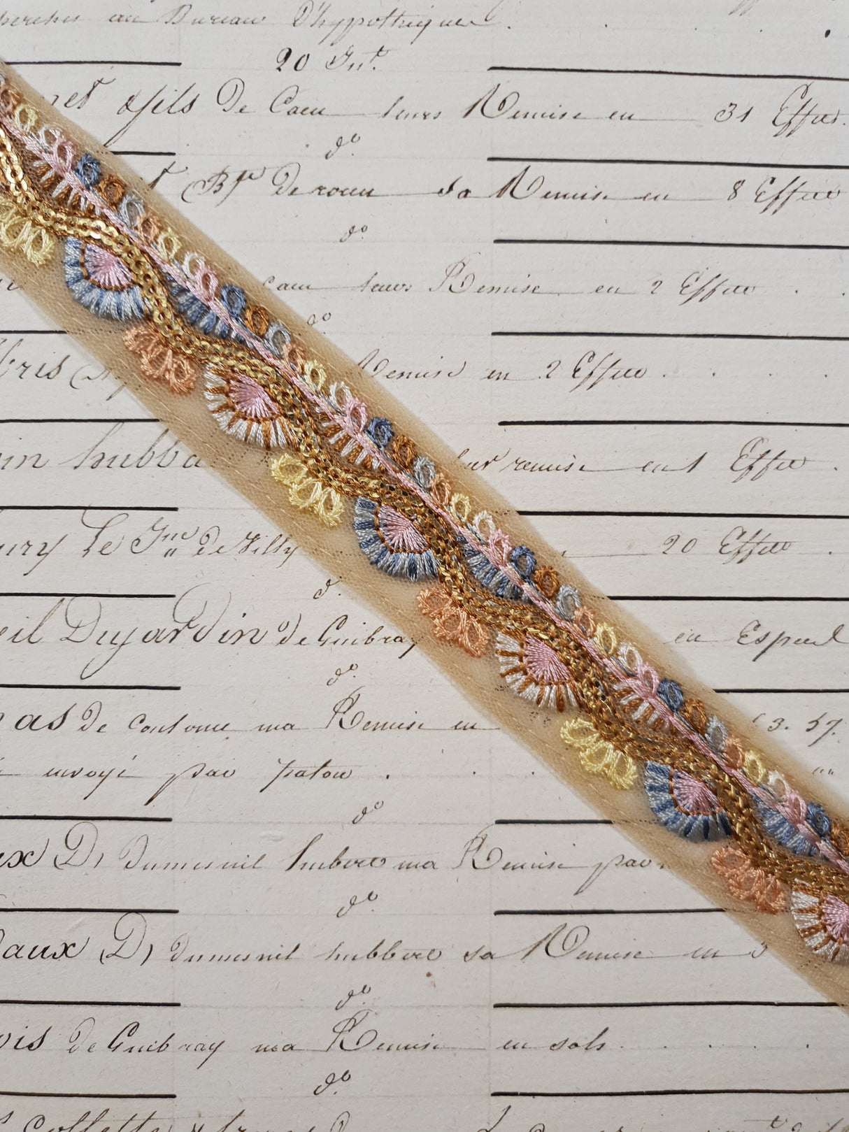 Embroidered Trim - 1 Meter - (ITR-1238)