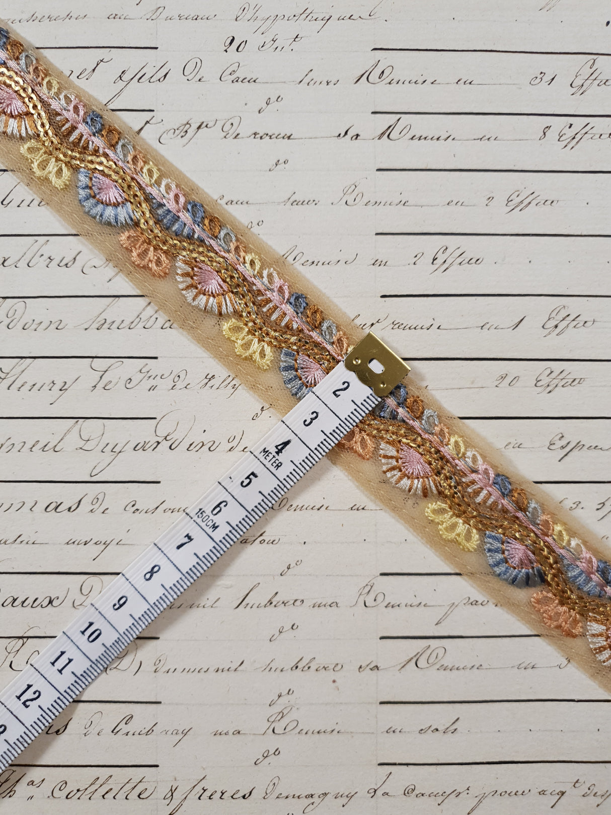 Embroidered Trim - 1 Meter - (ITR-1238)