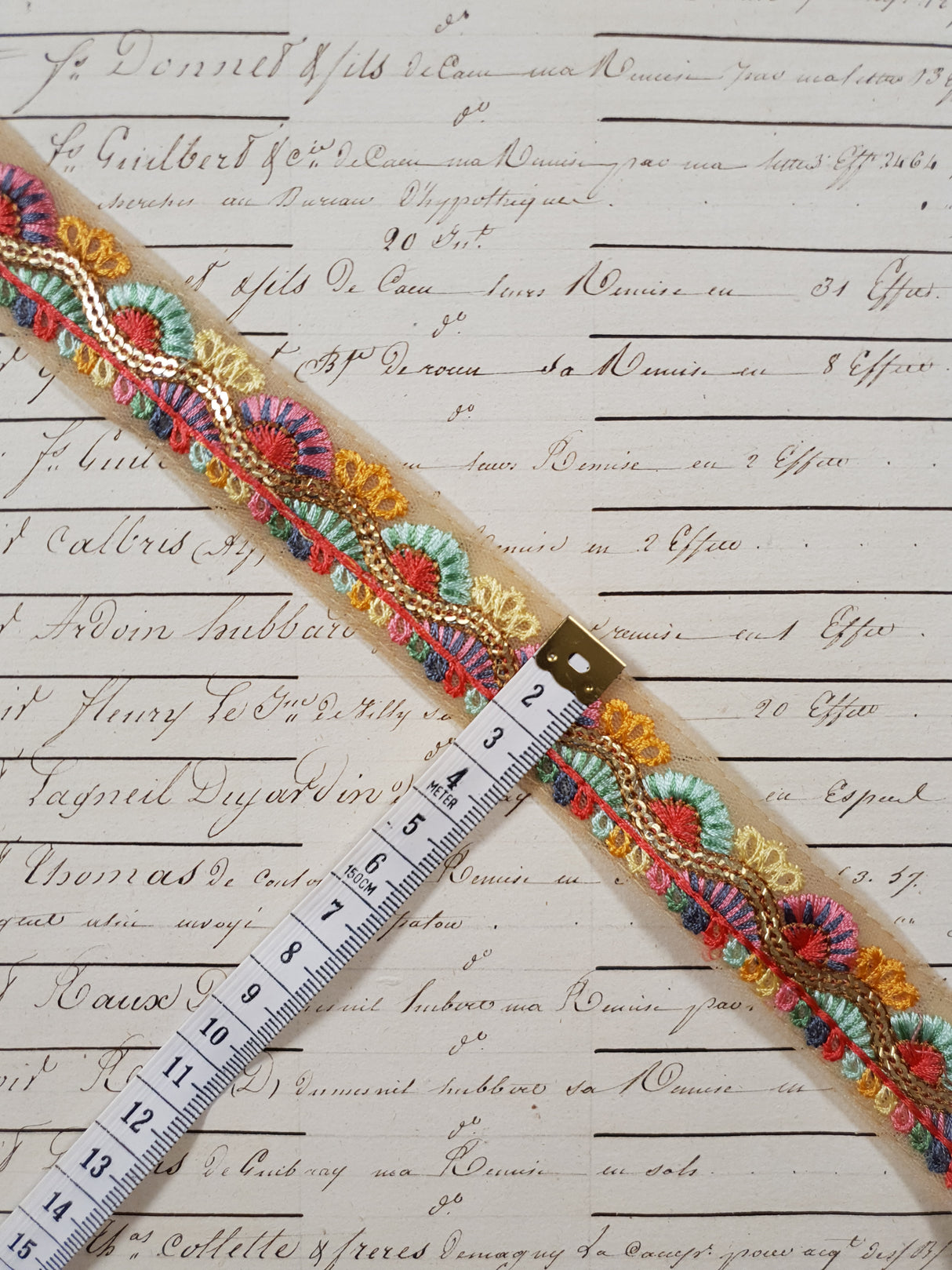 Embroidered Trim - 1 Meter - (ITR-1240)