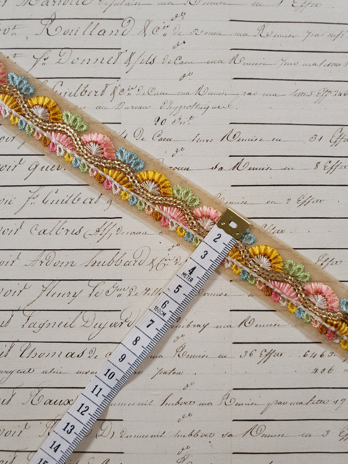 Embroidered Trim - 1 Meter - (ITR-1241)