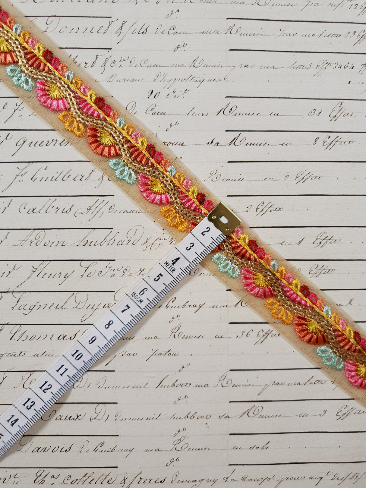 Embroidered Trim - 1 Meter - (ITR-1242)