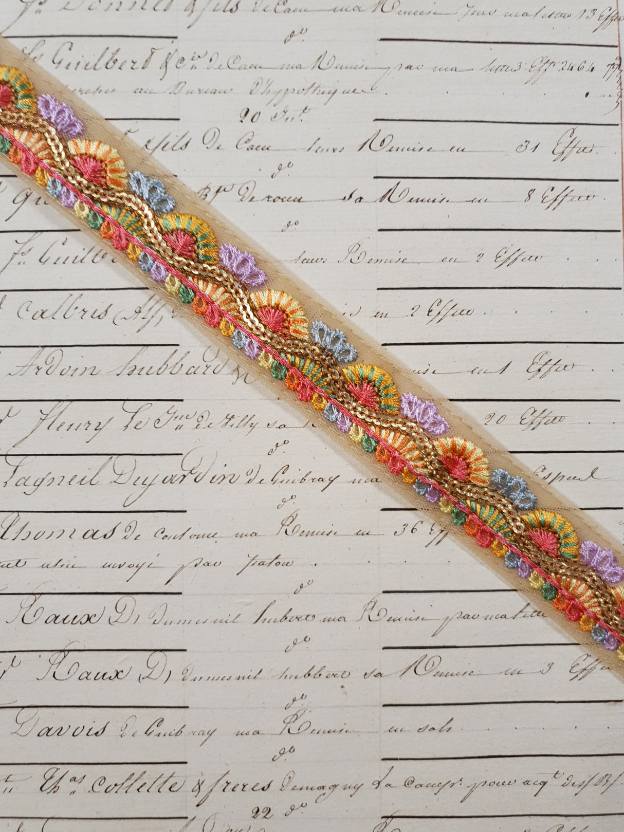 Embroidered Trim - 1 Meter - (ITR-1243)